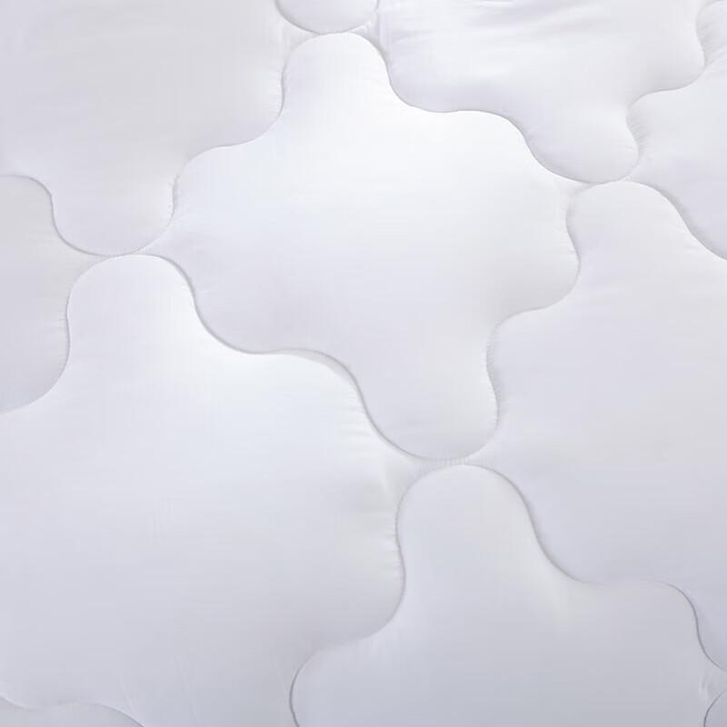 Mengjie Soft Antibacterial All-Season Quilt