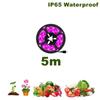 LED Waterproof Grow Light Full Spectrum 5V USB 5m Grow Light Strip 2835 LED Phyto Lamps For Plants Greenhouse Hydroponic Growing