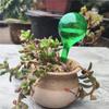 Automatic Plant Watering Bulbs Self Watering Globe Balls Water Device Drip Irrigation System for Garden Flower Plants Mom&Pea YQ