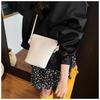 New Fashion Spring and Summer High-end High-value Small Bag Casual Shoulder Crossbody Bucket Bag