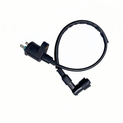 Oattum Enhanced Ignition Coil for Honda Ignition High Power Ignition Coil Zoomer Dio ZX