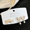 Amber Coffee French Retro Luxury Earrings - Women's Elegant Studs with Niche Design