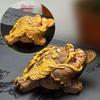 Temperature-Sensitive Color-Changing Golden Toad Tea Pet
