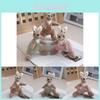 Adorable Plush Kangaroo Keychain Doll With Cute Design For Couples And Collectors