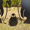 3D Penguin Yard Decoration Garden Stakes Ornaments Christmas Indoor Outdoor Silhouettes Garden Lawn Yard Decoration