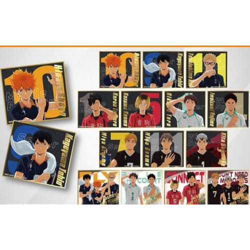 

Anime Haikyu!! Visual Shikishi Collection 8 14-piece Box