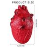 Scary Simulated Heart for Halloween Party and Horror Props Realistic Body Decoration Frightening Body Part Ornament