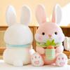 Adorable Carrot-hugging Bunny Plush Toy Cute Stuffed Animal Perfect For Kids' Birthday Gift