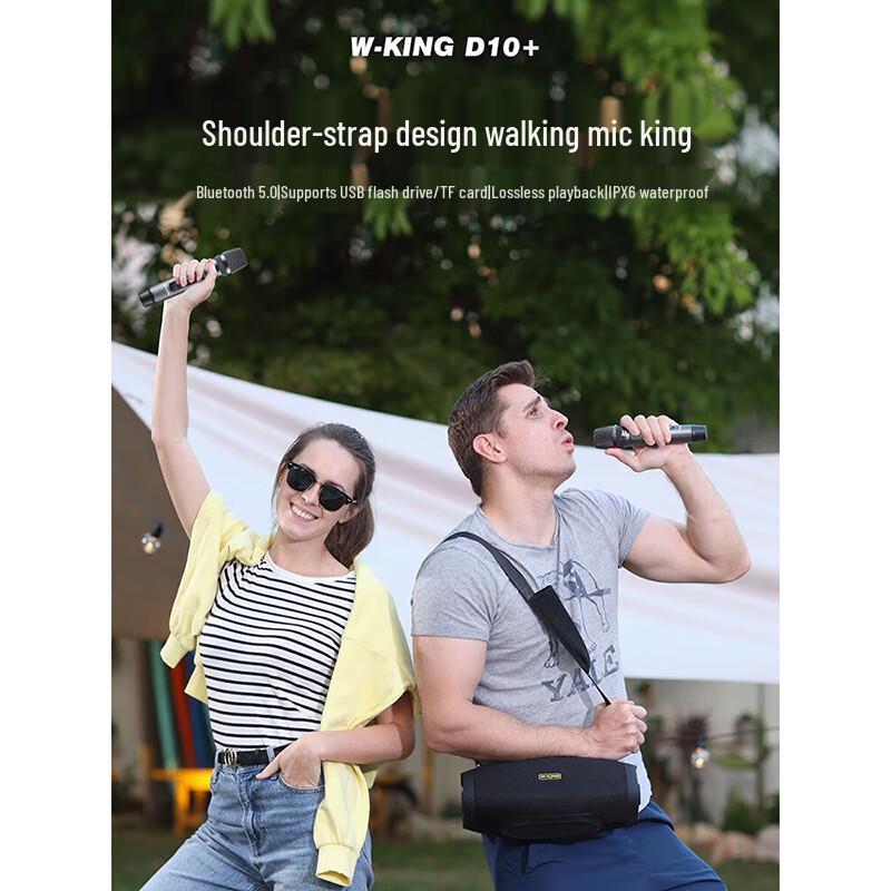 W-King D10+ Portable Bluetooth KTV Speaker