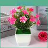 Plastic Sasanqua Camellia Botanical Potted Plant For Gift And Decor Interior