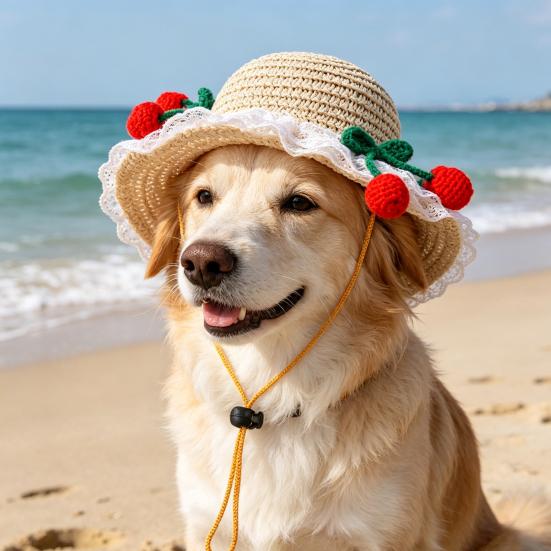 Scalloped Pet Straw Hat Cute Lace Ruffled Cat Sun Hat Sweet Summer Sun Hat for Cats Small Dogs Outdoor Travel Camping