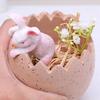 Cute Easters Bunnies and Eggshell Planter Funny Succulents Plant Flower Pots Indoor Bonsais Holder Container Decors