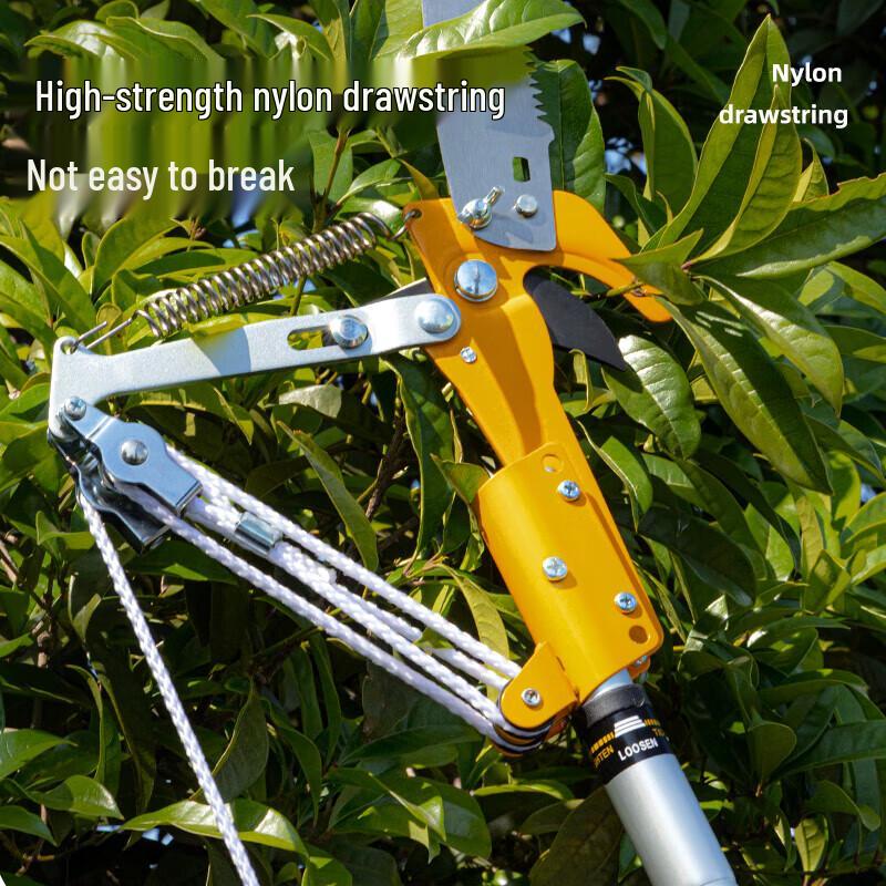 Deli Extendable High Branch Shear