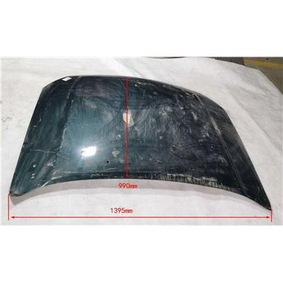Foton Front Hood Assembly 1D16953000520 Suitable