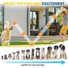 Large Dog Toy Squeaky Dog Durable Dog Aggressive Spiny Dog Balls for Clean Teeth and Puppy Chew Toys for Large Teething Toys 6-Pack 3.5-Inch Balls,