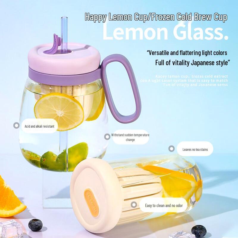 Changbaosen 850ml High Borosilicate Glass Tea Infuser Bottle