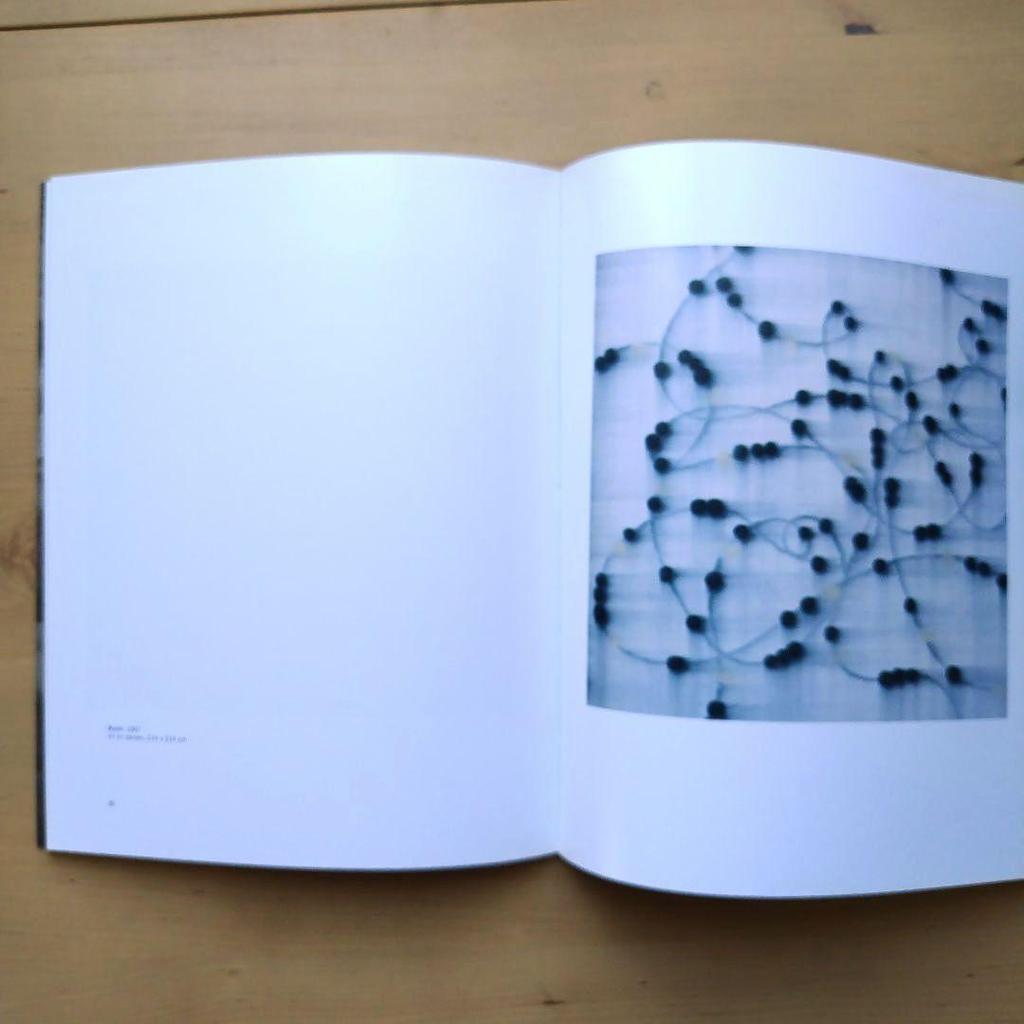 [USED] Mark Francis works collection Kerlin Gallery