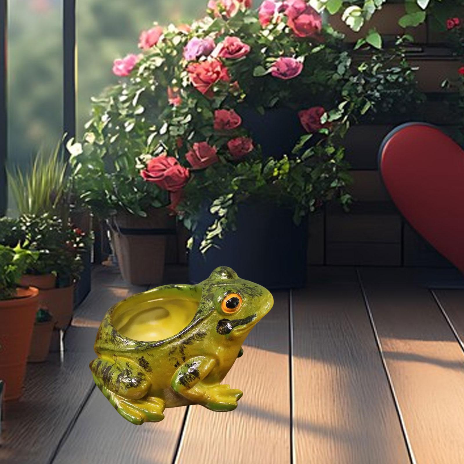

Resin Frog Planter for Small Plants Housewarming Gift Decorative Plant Pot for Entrance Patio Indoor and Outdoor Office Shelf зелёный