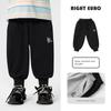 Boys' Sports Pants, Stylish Spring and Autumn Pants for Toddlers, 2026 New Children's Clothing, Spring and Autumn Casual Sweatpants for Older Kids