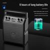Philips SD50 Portable Outdoor Bluetooth Karaoke Speaker with Wireless Mic CN Plug (adapter Included)