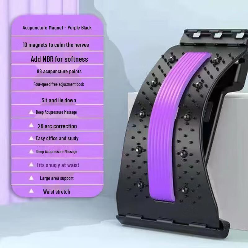 Mussel Lumbar Support Cushion Belt
