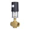 Electric Motorized Valve Regulating Control Brass BSP 2 Way AC 220V for Industry