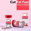 Iammi Coleus forskohlii Fat Down Weight Down HURUM Slim Fit : Erweiterter Körperfettabbau 600 mg x 60 Tabletten