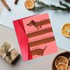 Cute Funny Cat Birthday Card Valentine'S Day Greeting Card Invitation Card With Envelope Unique Gift For Teachers Parents Friend