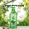 Fenghua Silicone-Free Hydrating Aloe Shampoo