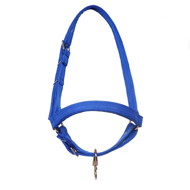 

Cattle Halter Calf Halter Cow Halters with Heavy-Duty Brass Buckle, Easy-Clean Suede-Like Material, Adjustable Design for Calves M 330lbs-850lbs