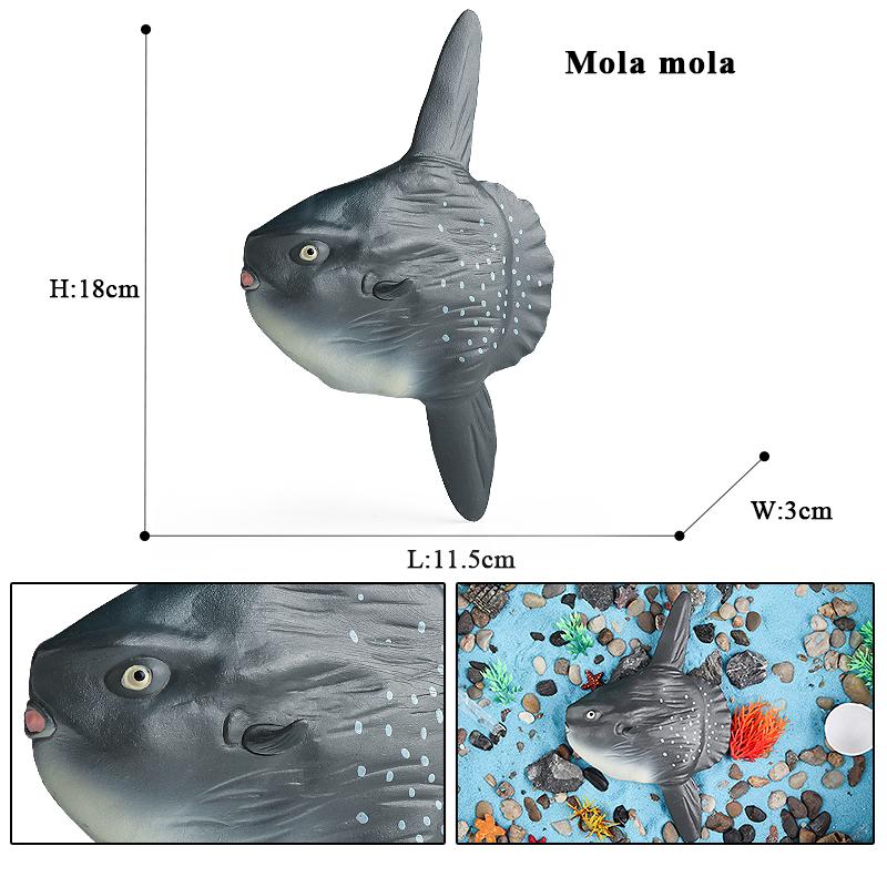 Oenux Sea Life Animals Model Action Figures Ocean Fish Sailfish Bass Grouper Salmon Aquarium Figurines PVC Educational Kids Toy