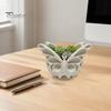 Succulent Plant Container 3D Printed Butterfly Storage Box, Decorative Planter, Desktop PLA Flower Pot Organizer Tray for Jewelry, Candy, Home