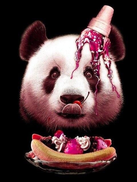 5D DIY diamant schilderij volledige vierkante panda diamant mozaïek verkoop dier diamant borduurwerk cartoon steentjes foto's