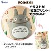 Skater Stainless Steel Children's Water Bottle 380ml Straw Drinking 3D My Neighbor Totoro Vegetable Color Ghibli SSPV4