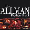 CD ALLMAN BROTHERS BAND  The BestThe Allman Brothers Band UICY2545 Polydor 2002 Japan Rock Used