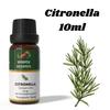 Ananta Citronella Essential Oil 10 Ml – Fresh Lemon Aroma Oil for Diffuser & Home Fragrance