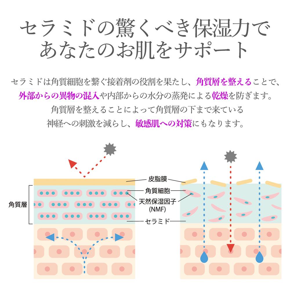 Advanced Anti-Aging – Ceramide Rich Moisture Lotion – HoWood, racosie
