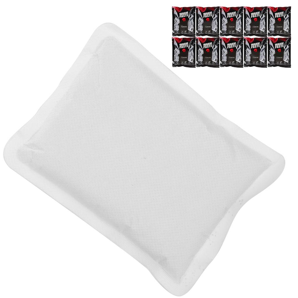 10pcs 72 Hour Heat Pack Warmer for Tortoise Spiders Scorpion Reptiles Insects Shipping