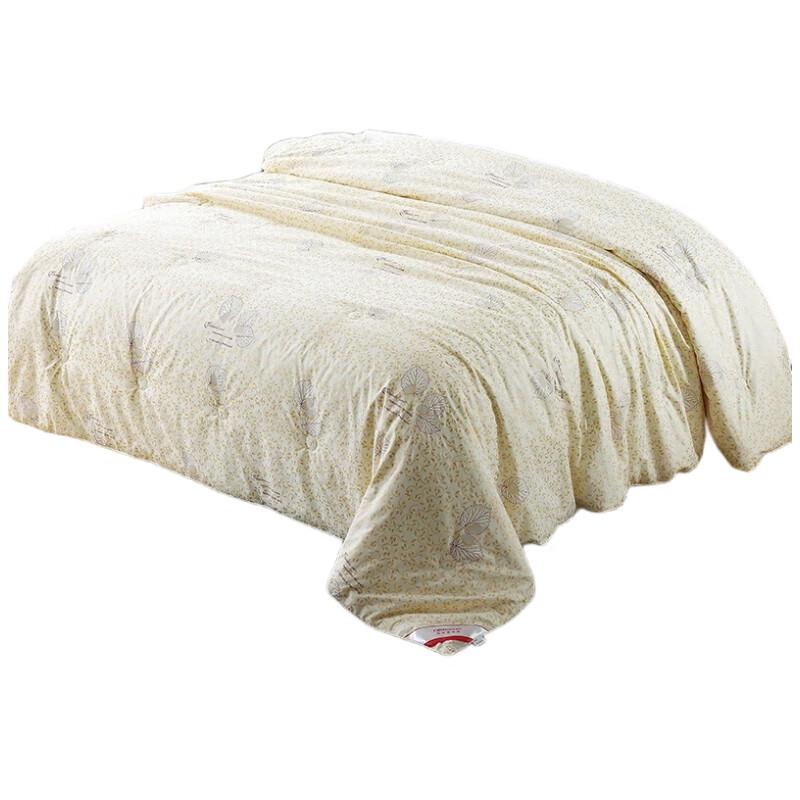 Caiyang Four Seasons Mulberry Silk Quilt