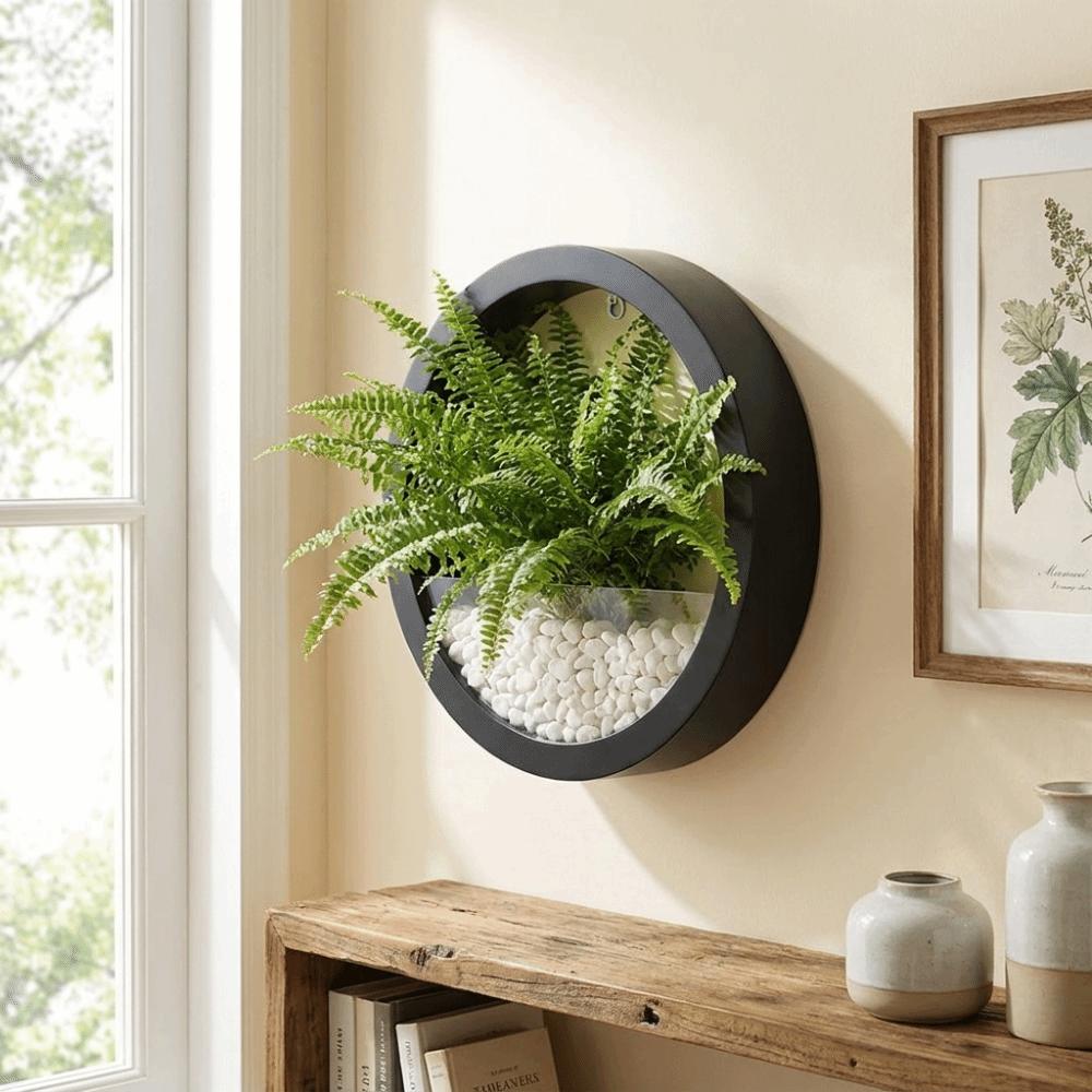 Plastic Hydroponic Vase Round Plant Container Creative Flower Arrangement Office Display