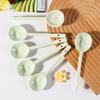 Kangmo Ceramic Candy Color Spoon Set