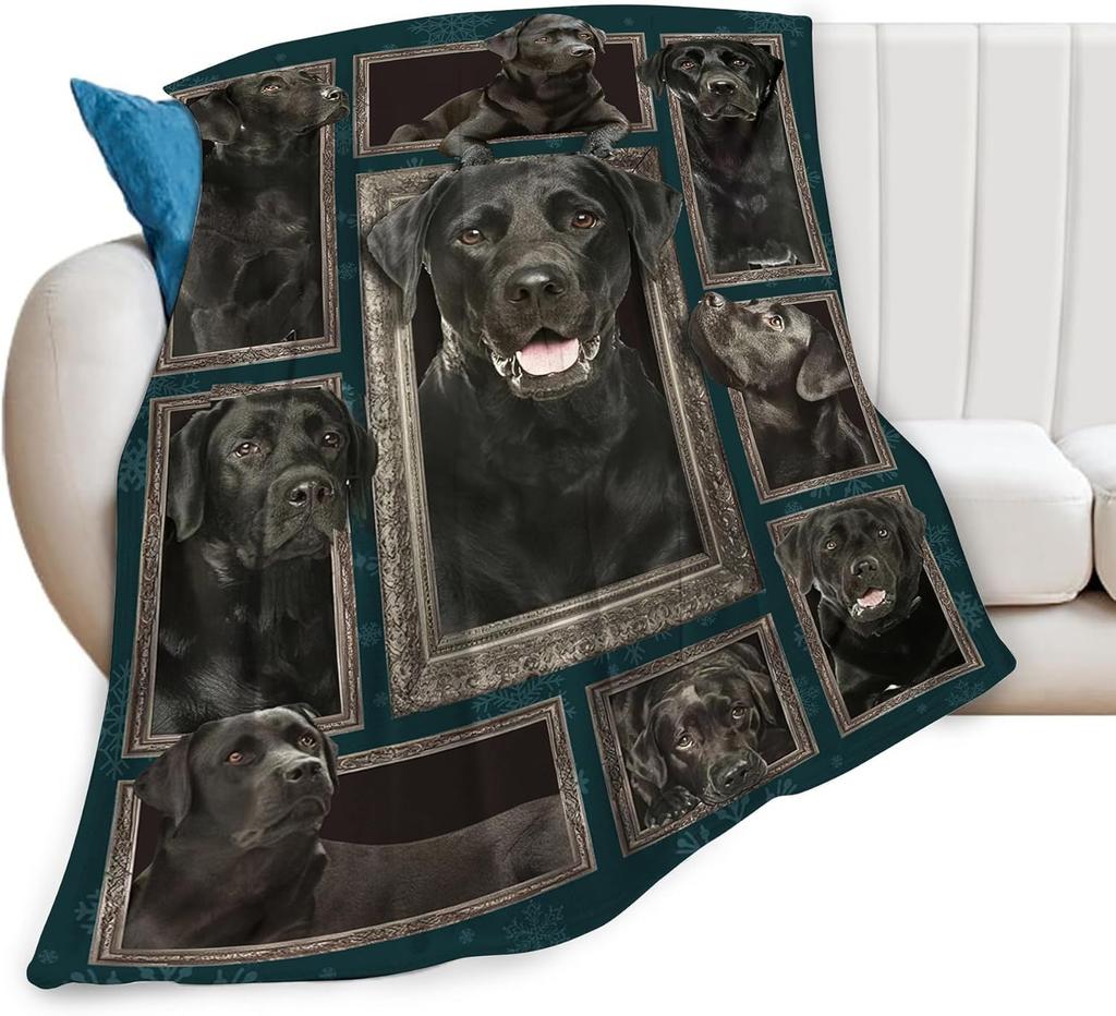 Corgi Throw Blanket Soft Cozy Fleece Blanket for Couch Bed or Sofa Cute Corgi Dog Gift for Women Girls Kids and Adults x