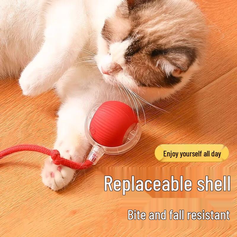 Qio Smart Electric Pet Teasing Ball (2-Pack)