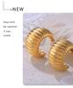 18K Gold-Plated Titanium Steel C-Shaped Stripe Earrings - Elegant, Lightweight, Non-Fading, Luxurious for Women