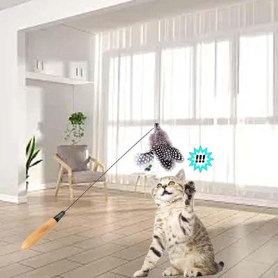 Cat Teaser Toy, Interactive Exercise Chase Training, Handheld Feather Toy