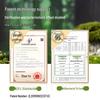 Shuguoyuan Artemisia Antibacterial Laundry Detergent for Delicates