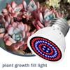 E27 LED Plant Grow Light 110V 220V Hydroponic Growth Light Full Spectrum Indoor Hydroponics Flower Seedling Phyto Lamp