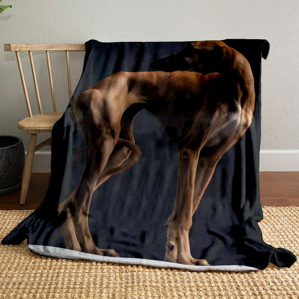 

Elegant Slender Hound bedroom Blanket for Livingroom Couch lunch break Soft throw for Friend s festival Gift 80cm x 120cm