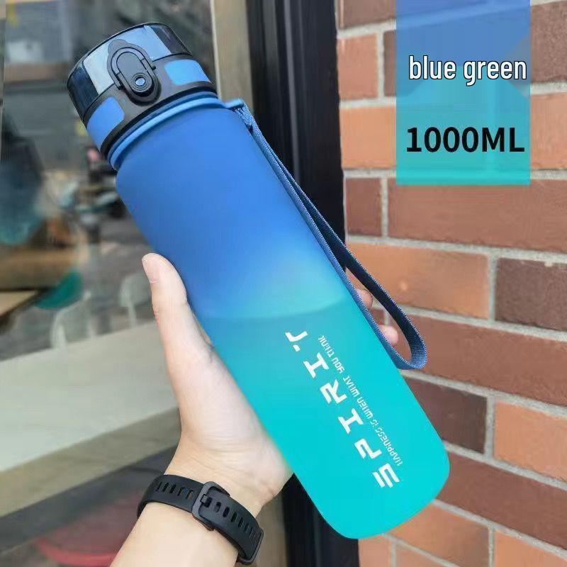 Gradient Frosted Summer Sports Water Bottle – Large Capacity, High-Temperature Resistant, Drop-Proof, with Tea Infuser.