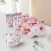 Ins Cosmetics Coin Wire Holder Pouch Bag Portable Earphone Cards Lipsticks Storage Bag Auto Close Organizer Travel Jewelry Bag